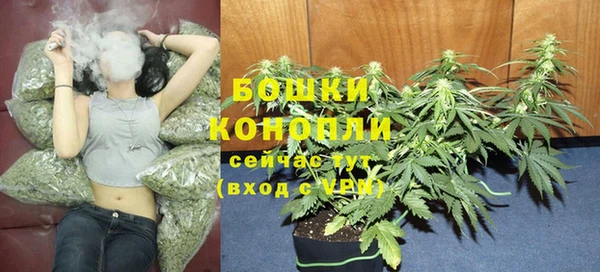jwh Губаха
