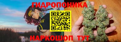 ГАЛЛЮЦИНОГЕННЫЕ ГРИБЫ Волжский