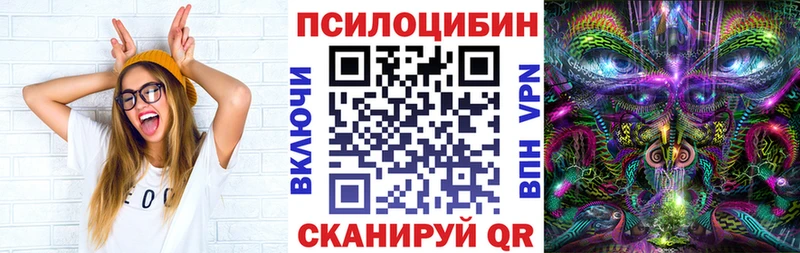 где продают   Егорьевск  Псилоцибиновые грибы Psilocybine cubensis 