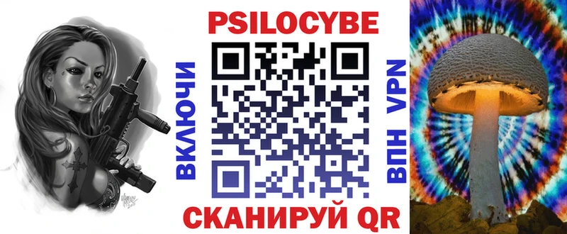 Псилоцибиновые грибы Psilocybe Егорьевск