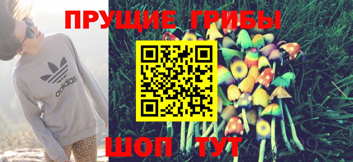 Галлюциногенные грибы GOLDEN TEACHER  Галлюциногенные грибы Psilocybine cubensis  Егорьевск 