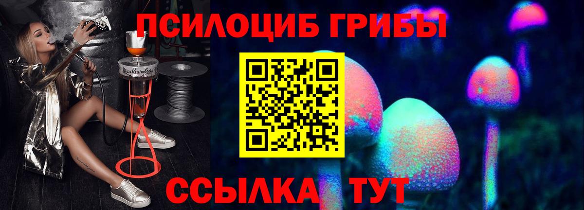 Галлюциногенные грибы Psilocybine cubensis Егорьевск